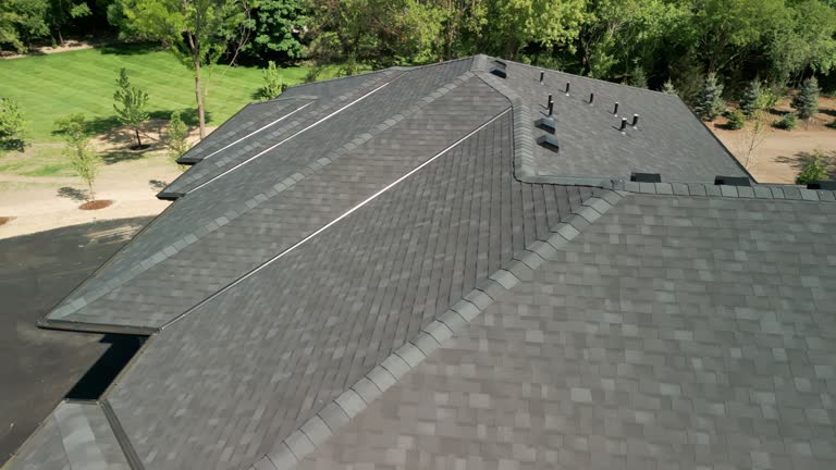 Best Solar Panel Roofing Installation  in Rosenberg, TX